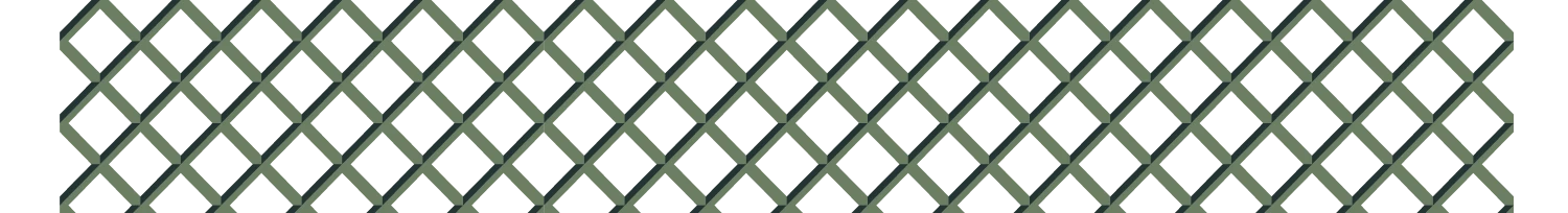 frame_2-reja+